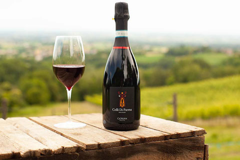 canova vini e vigne colli di parma