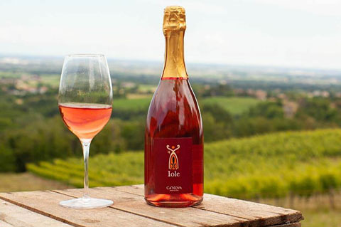 canova vini e vigne iole rosato