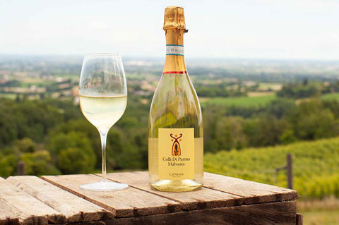 canova vini e vigne malvasia vino bianco