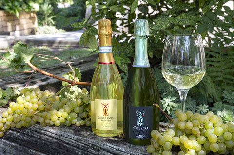 canova vini e vigne spumante oberto