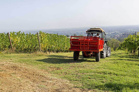 canova vini e vigne trattore rosso con persona