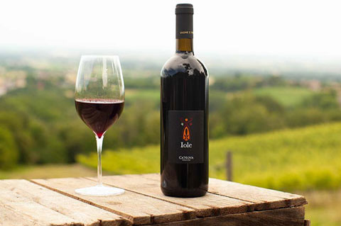 canova vini e vigne vino iole rosso