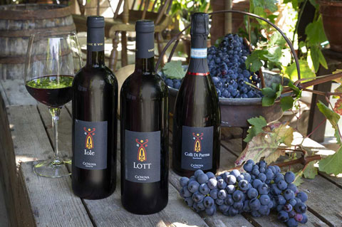 canova vini e vigne vino lott