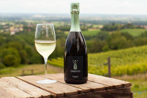 canova vini e vigne vino oberto spumante